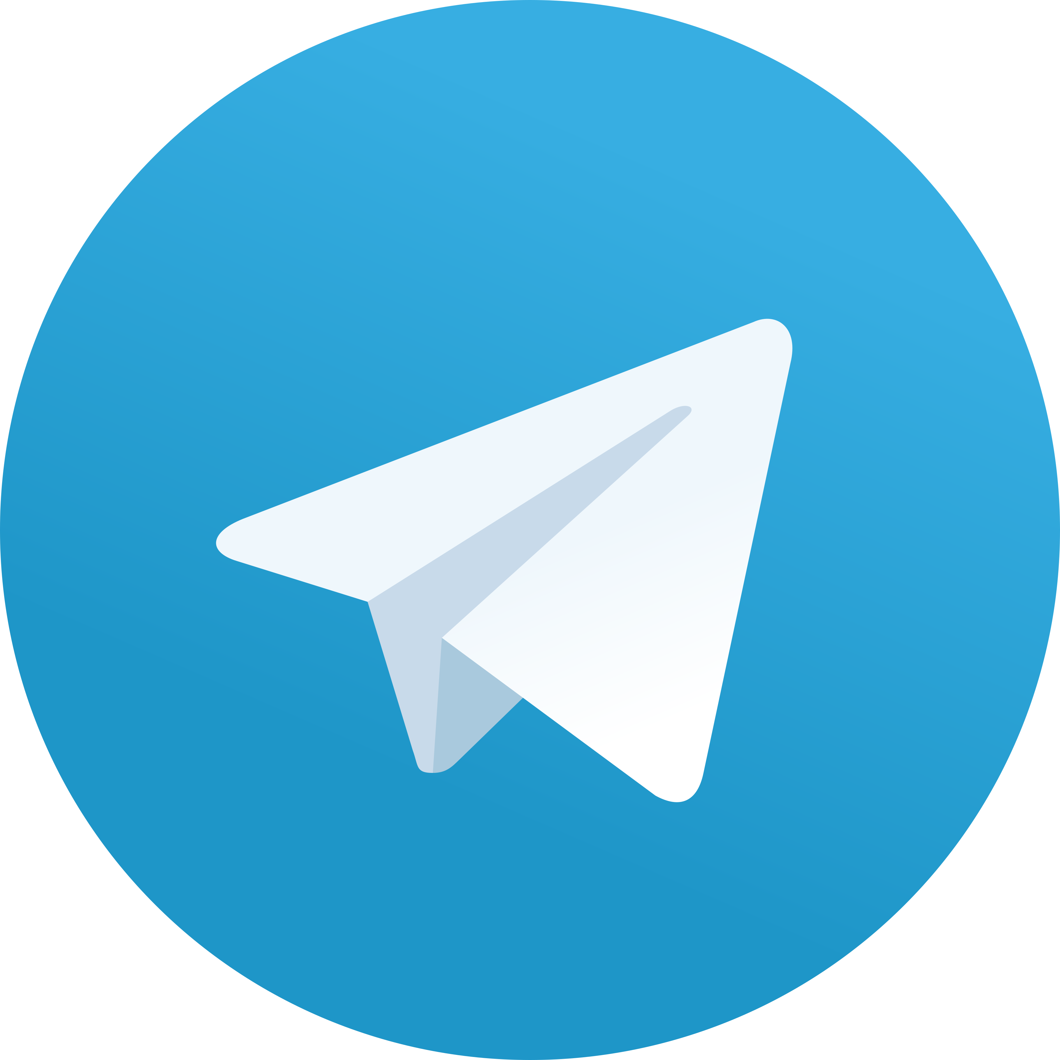 Matheus Telegram Chat
